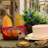 TEX Digestive The Golden Standard of Tea Time: Pack of 6
